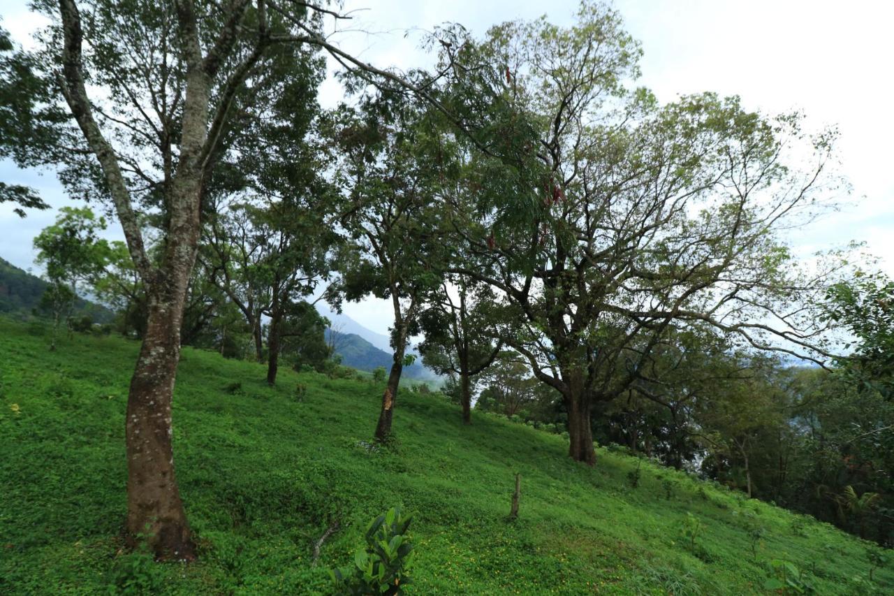 Hotel Ambady Estate Munnar Exterior foto